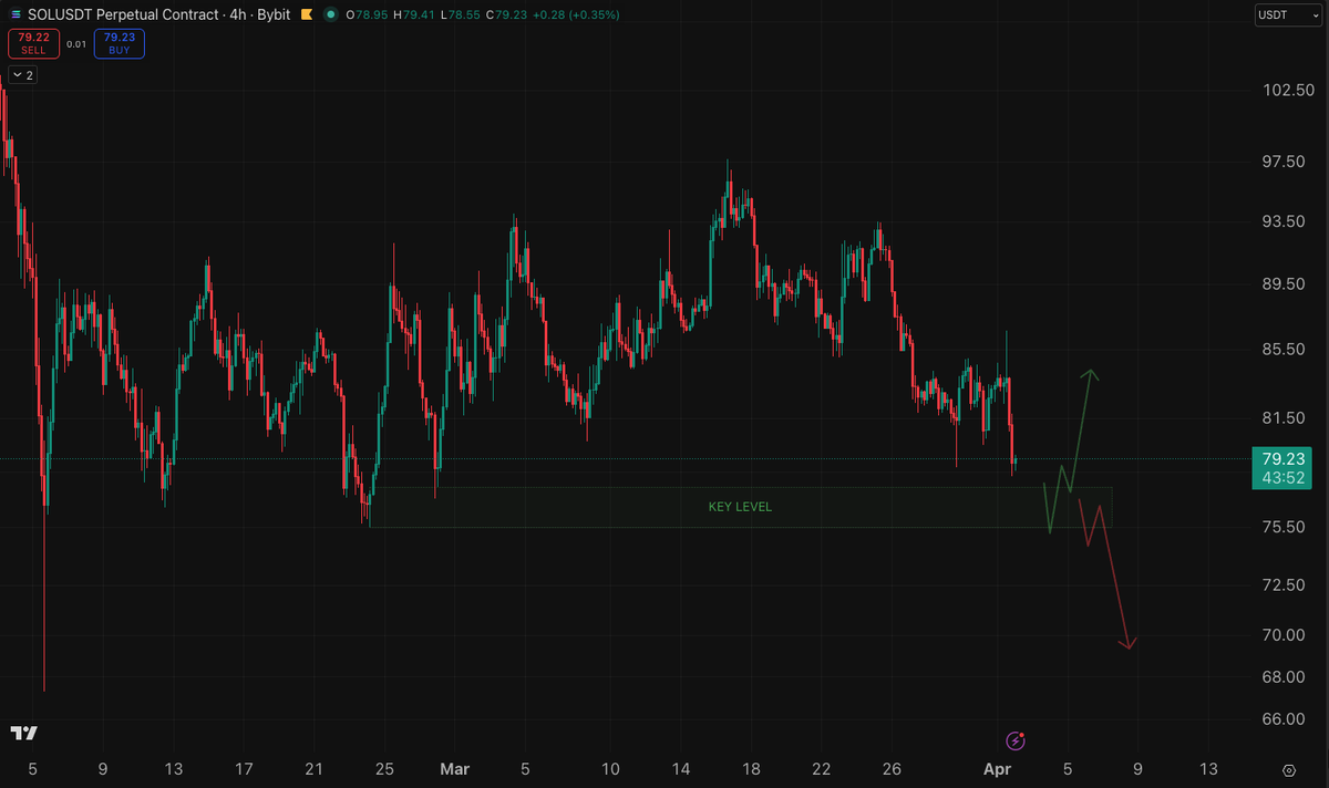 The Moon Show tweet media