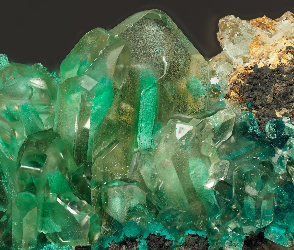 TAK（浅草石フリマ土曜 5/16 参加 6F P-11-12） tweet media