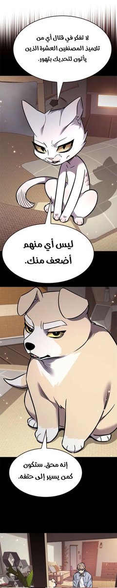 𝐄𝐋𝐄𝐂𝐄𝐄𝐃 ⚡| بالعربية tweet media