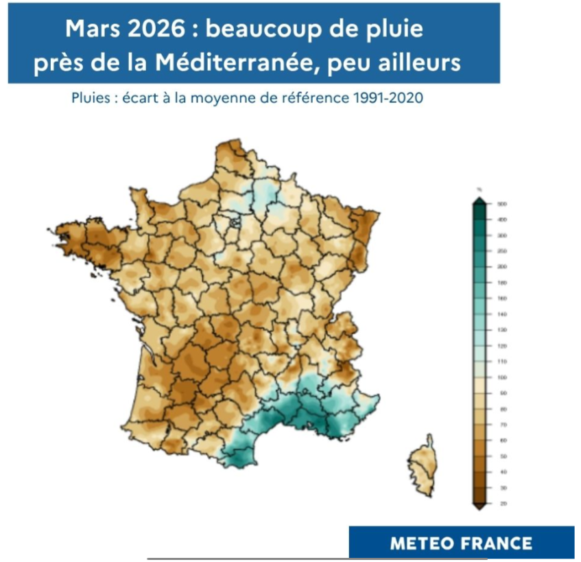 Nicolas Berrod tweet media