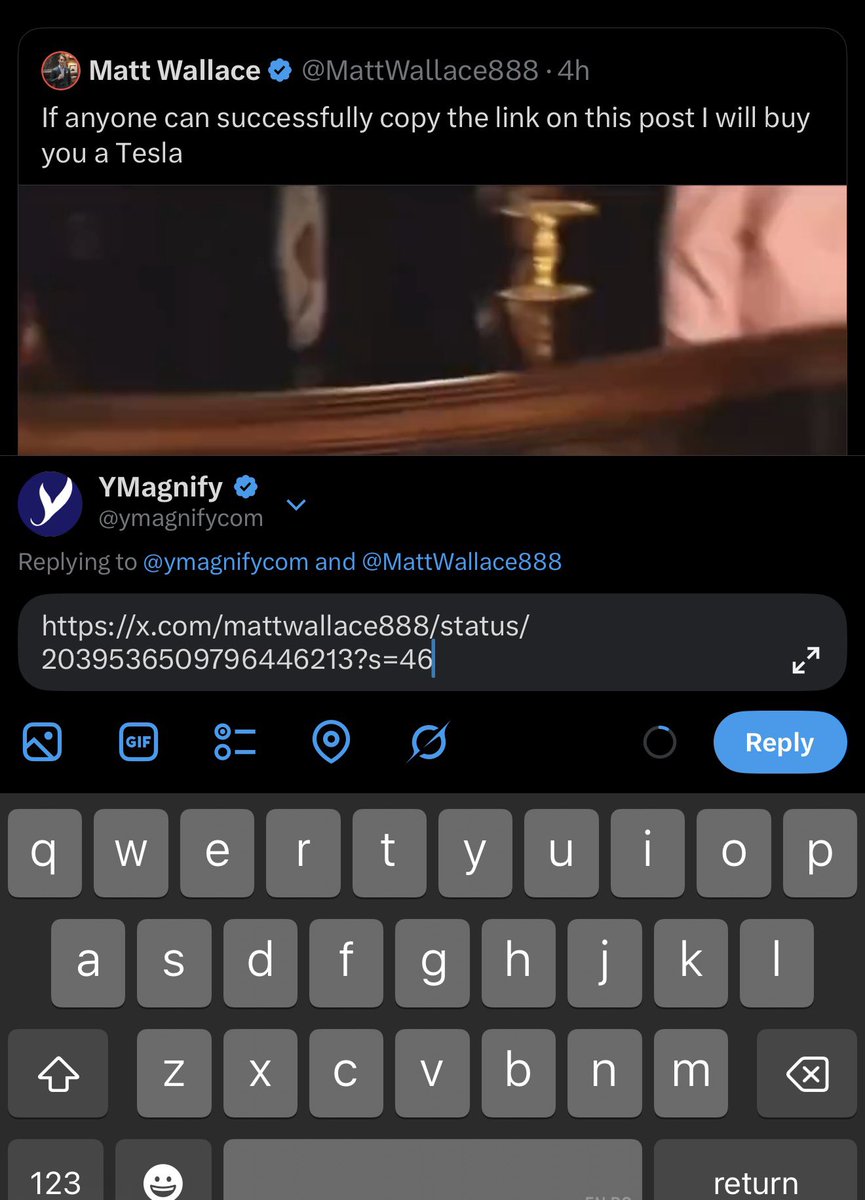 YMagnify tweet media