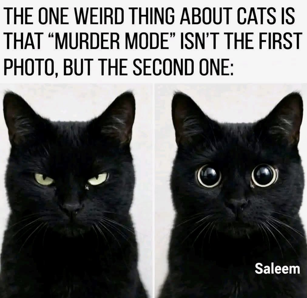 timjordan tweet media