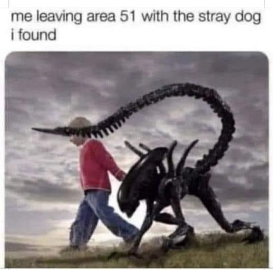 Stan Sorm tweet media