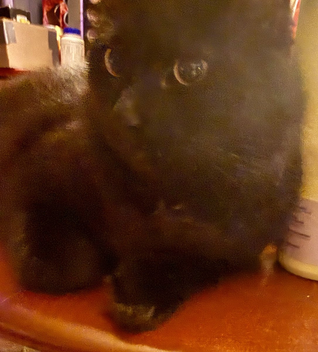 timjordan tweet media