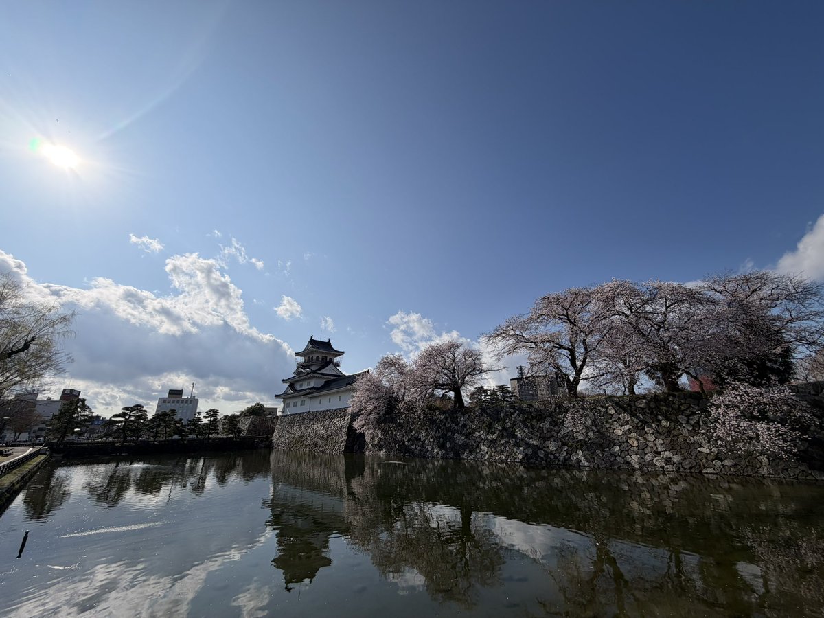 Jyo__99's tweet photo. Spring in Toyama！ https://t.co/7DeKIvdvB9