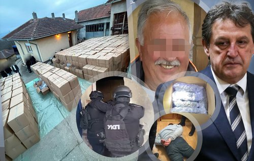 Misa Veselinovic tweet media