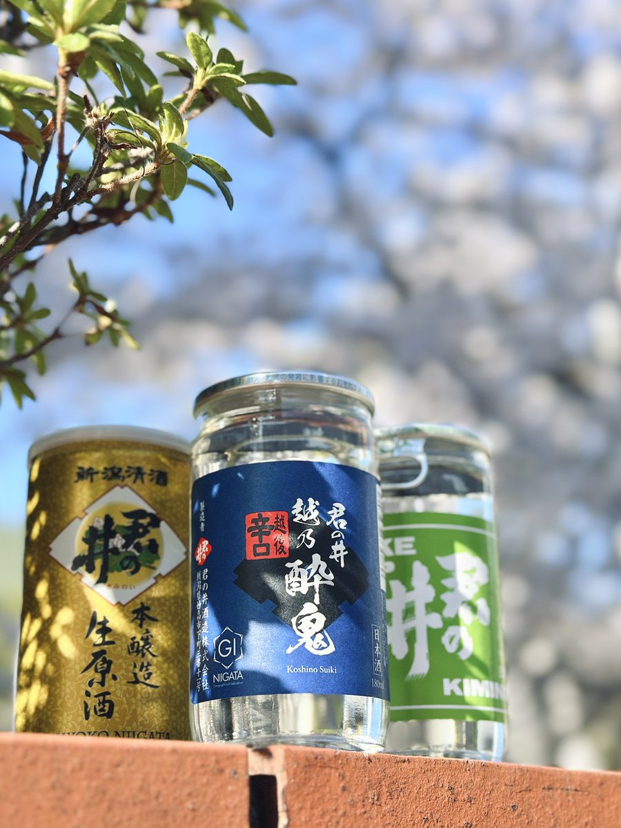 はしゃ tweet media