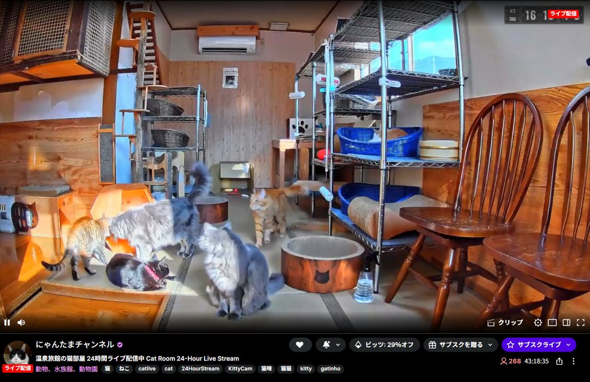 🐜🐜 tweet media