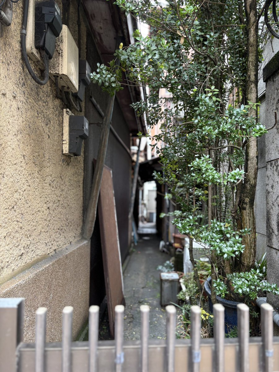 江本伸悟 tweet media