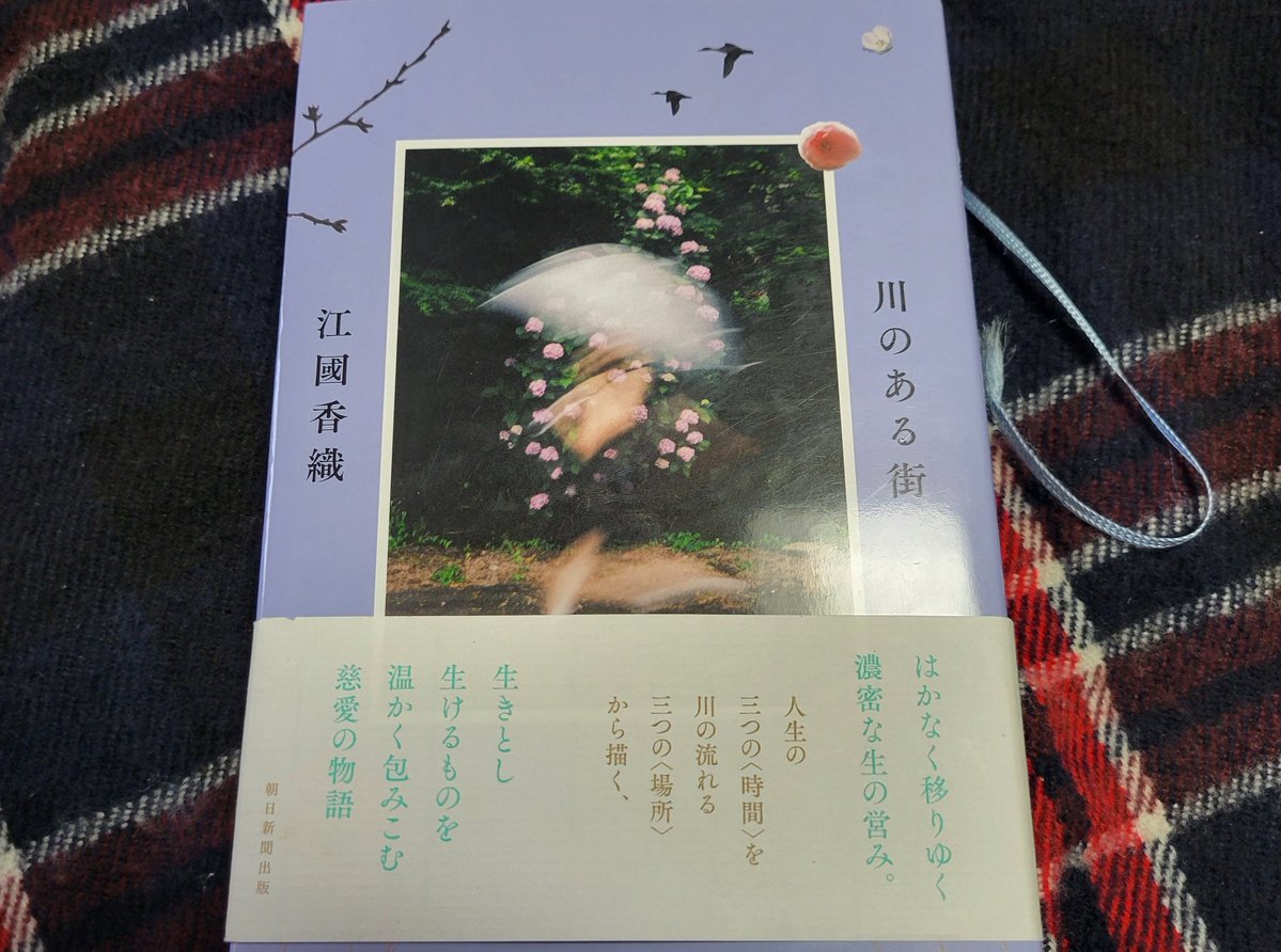 光枝ういろ(voyage) tweet media