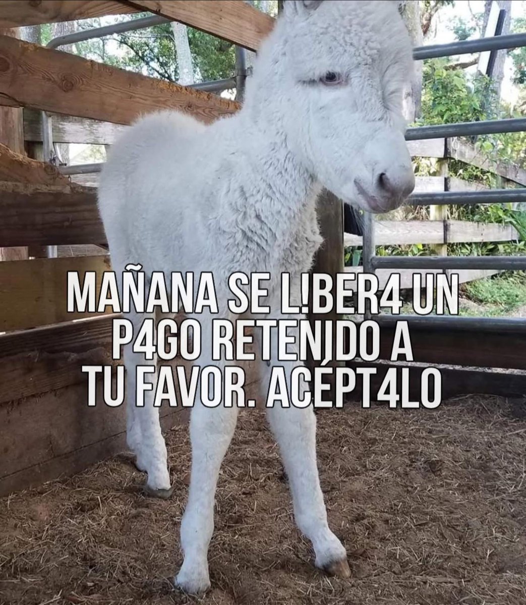 HorizonteX tweet media