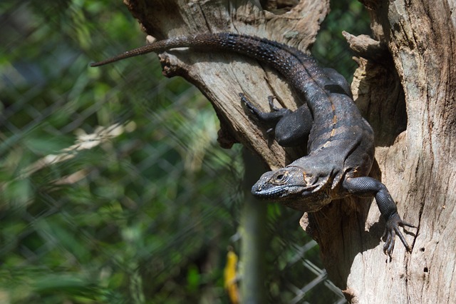 Ethan Gallion tweet media