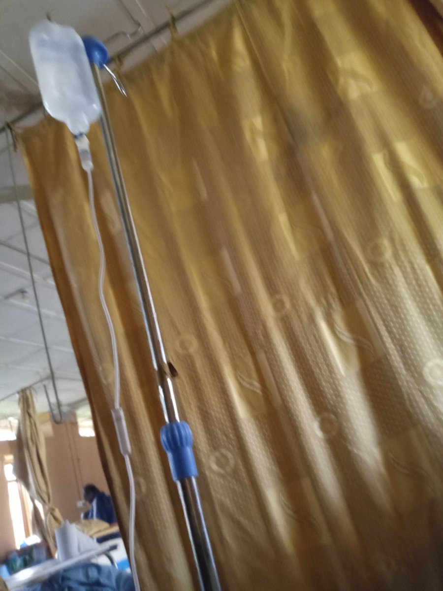 BIG JUNIOR tweet media