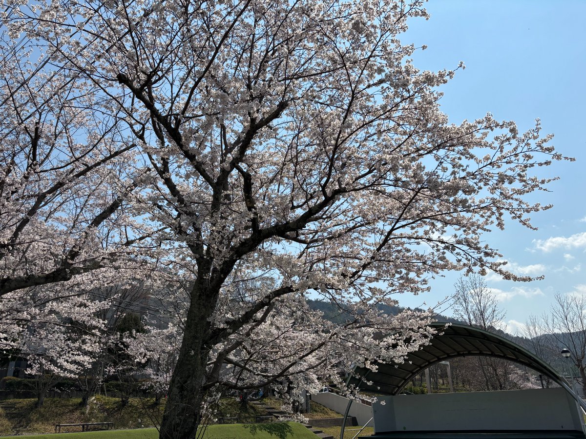 京都先端科学大学（KUAS） tweet media