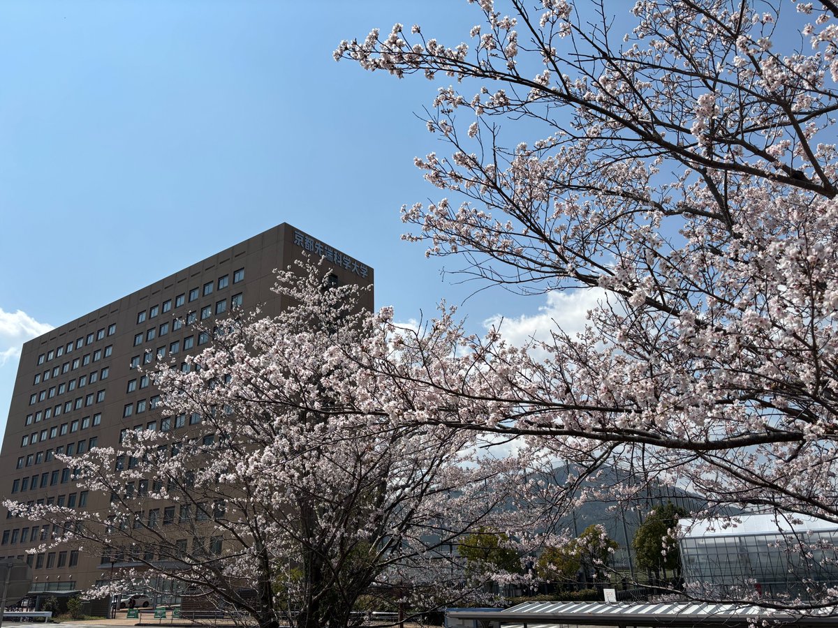 京都先端科学大学（KUAS） tweet media