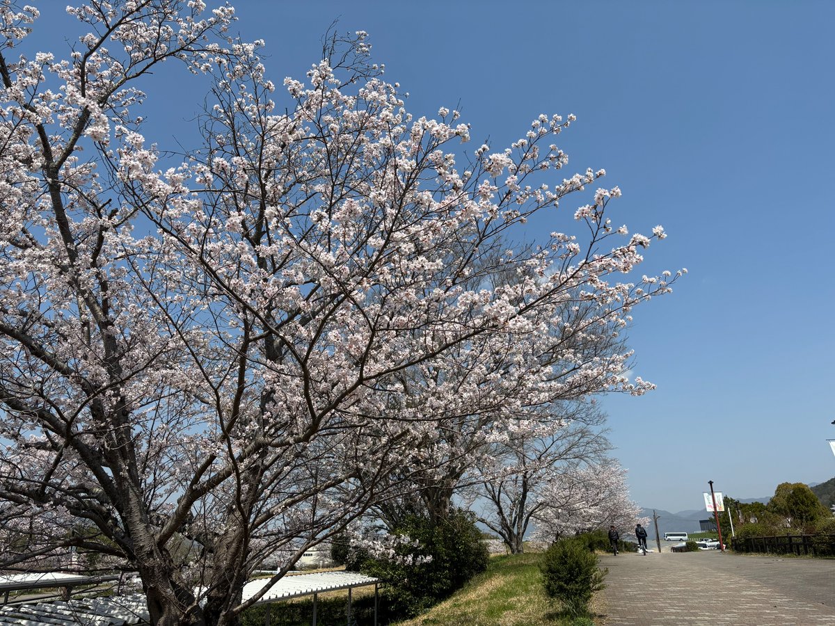 京都先端科学大学（KUAS） tweet media