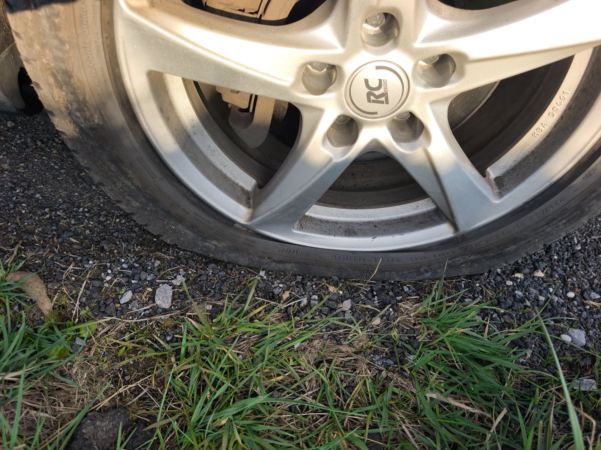 Meister Becker 🇮🇱🇺🇲🥝 tweet media