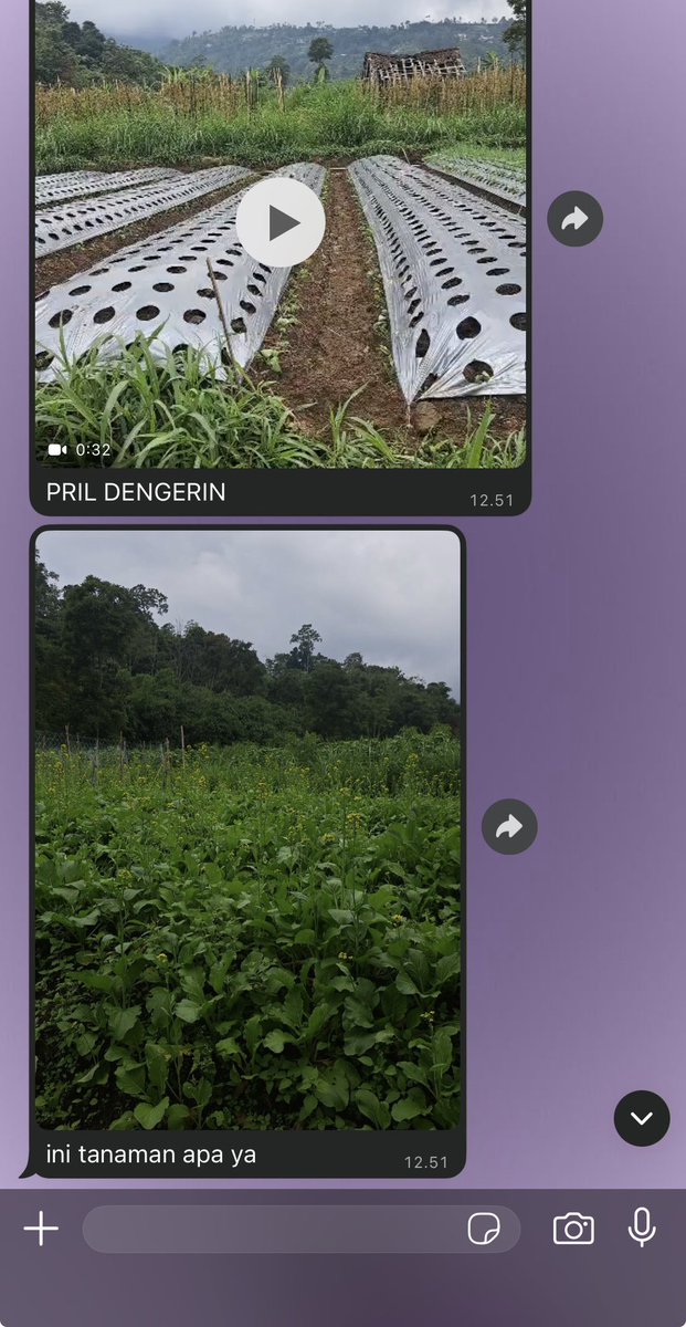 isabellie tweet media