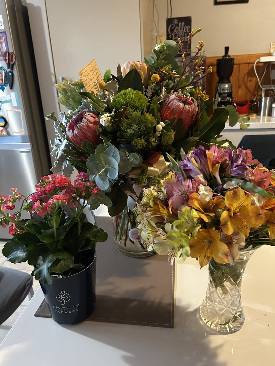 TraceyMatthies_celebrant_journo tweet media