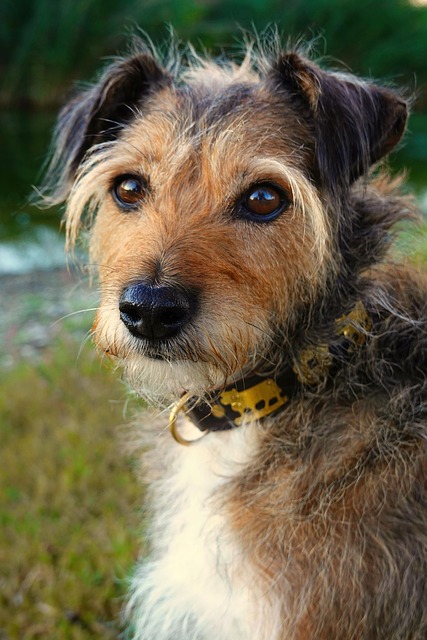 Ronnie Glass tweet media