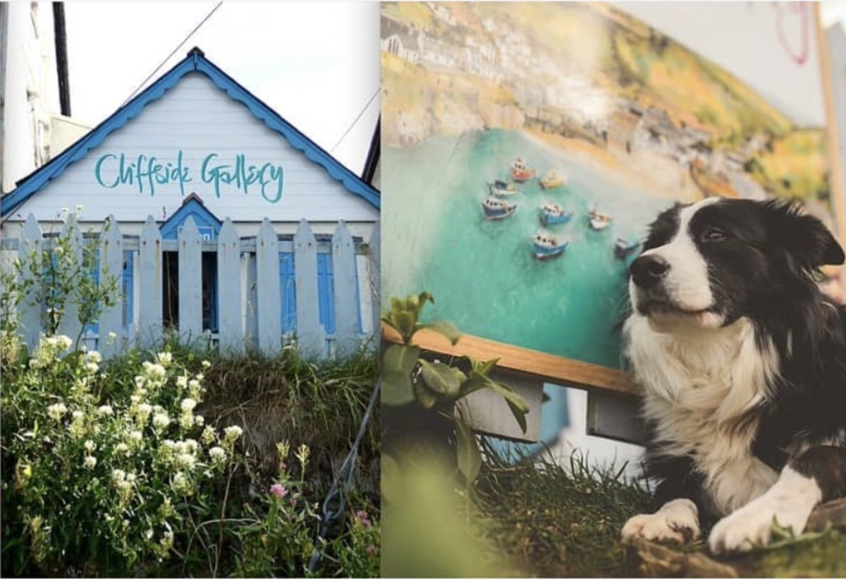 Katie Childs tweet media