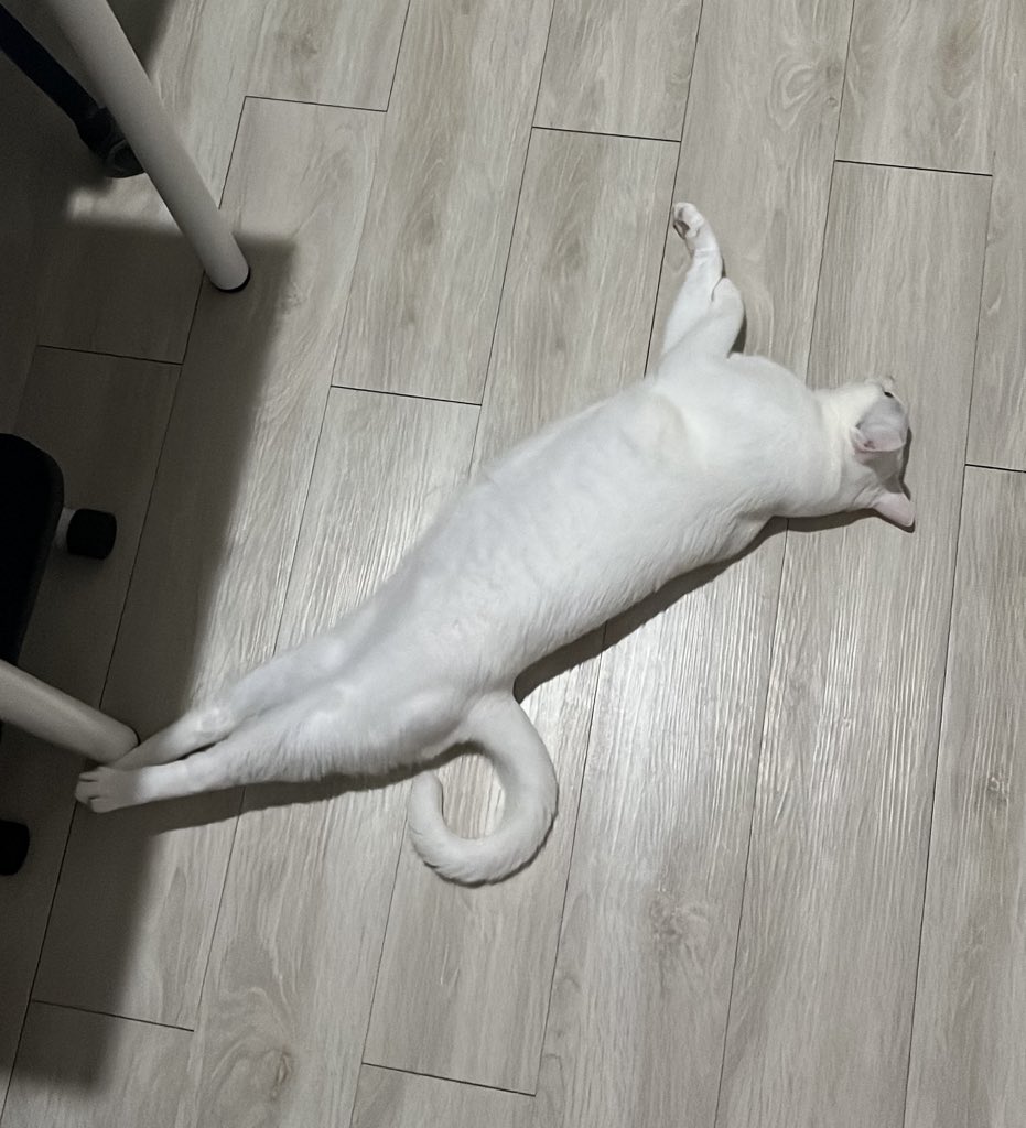 aปุ้ม tweet media