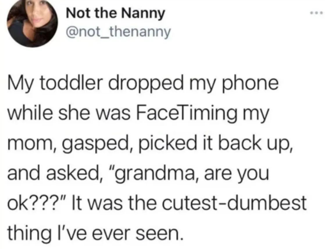 Wolf of X tweet media