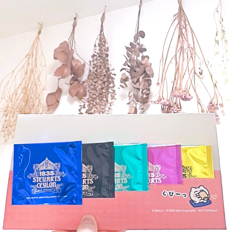 のきちゃん🍰 tweet media