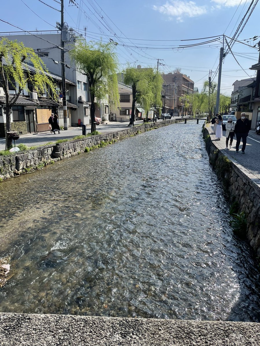 黒嵜想 ｜So Kurosaki tweet media