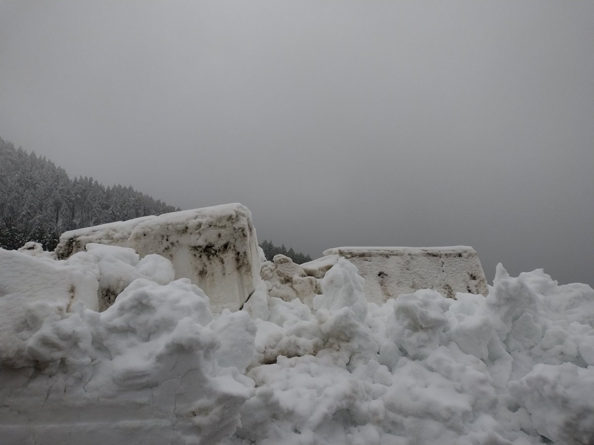 Чобан са Маљена tweet media