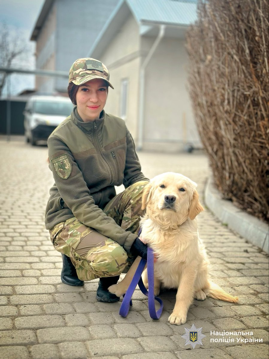 День кінолога: вірні друзі та надійні напарники

Детальніше: if.npu.gov.ua/news/den-kinol…