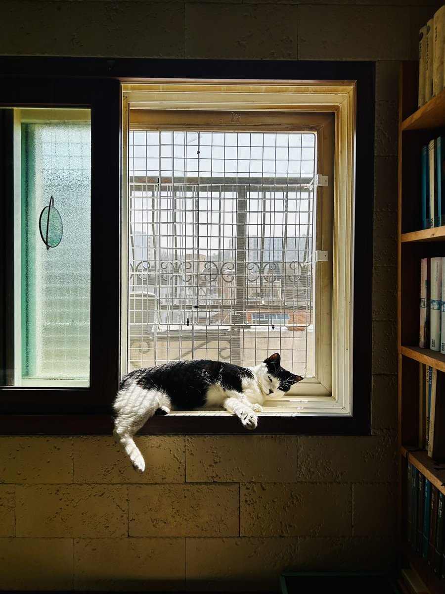 ㅎㅅㅎ🏳️‍🌈 tweet media