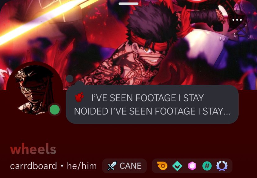 𝘧𝘭𝘪𝘨𝘩𝘵𝘭𝘦𝘴𝘴 𝘣𝘪𝘳𝘥 tweet media