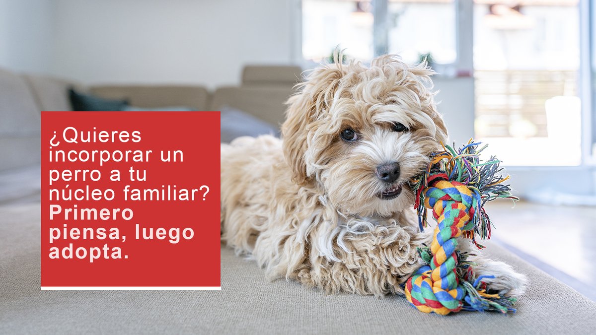 Línea Directa tweet media
