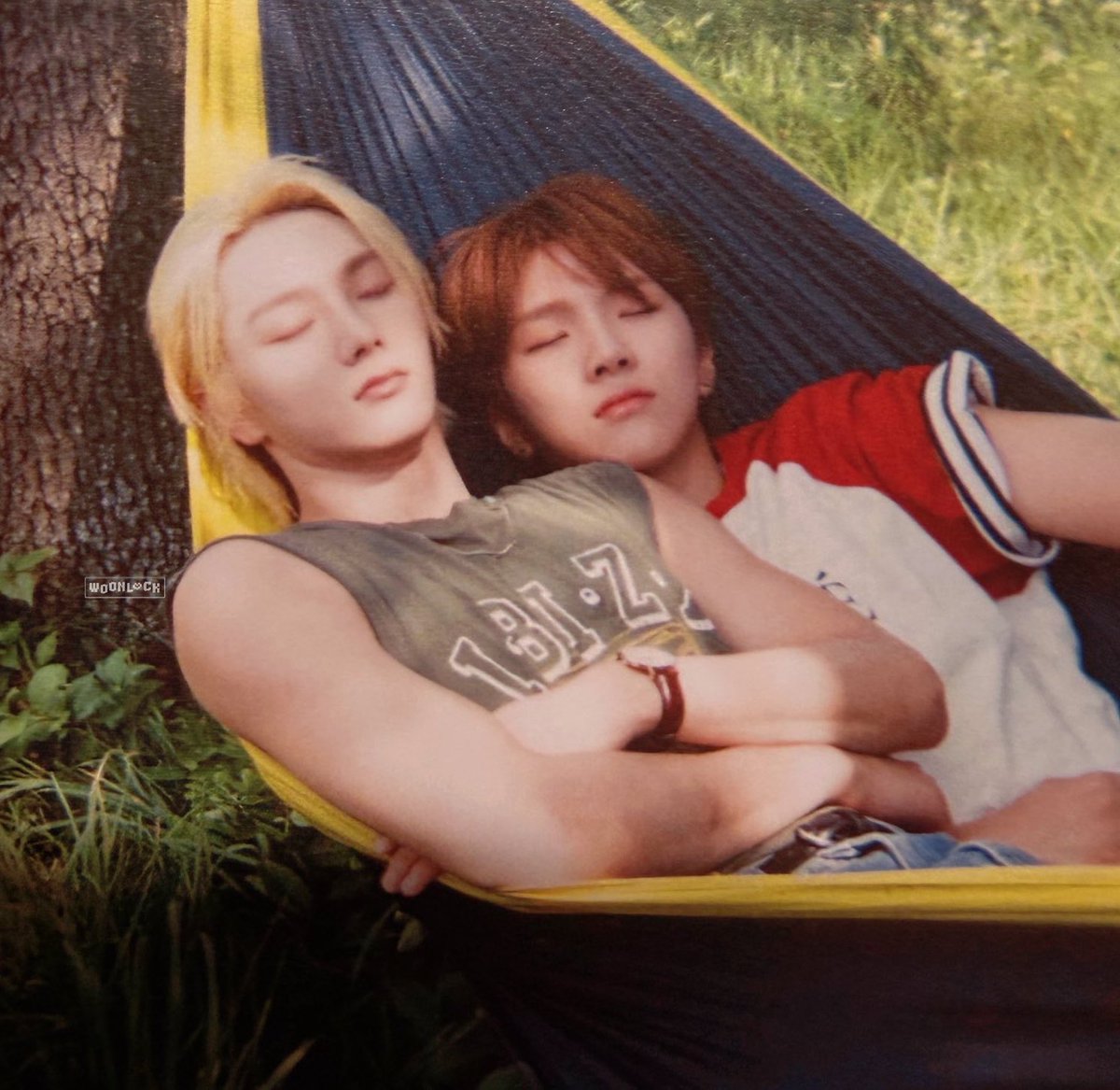 lizzie ☆ !! tweet media