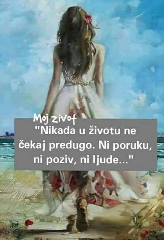 Snezana-Sneki tweet media