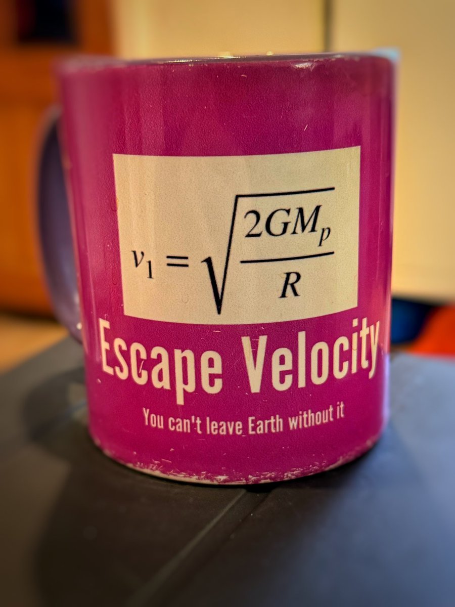 Lisa Forte tweet media