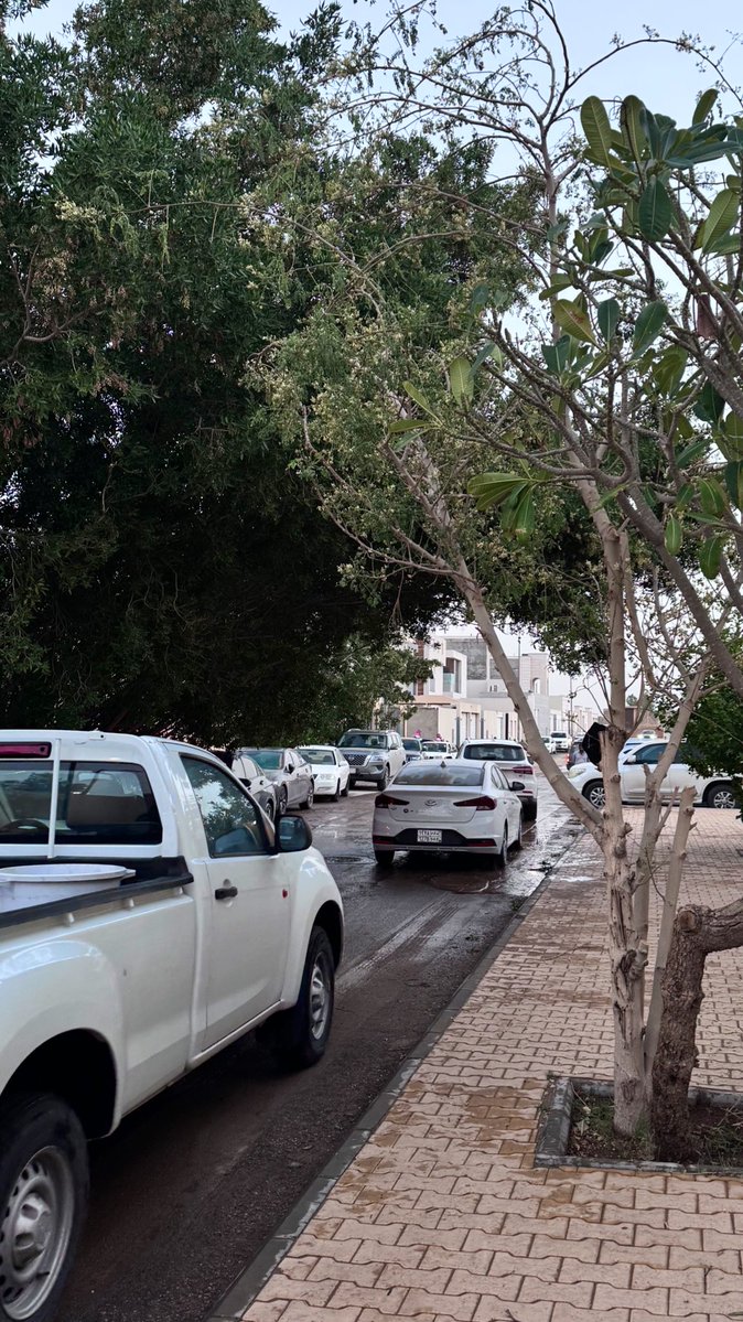 وجود غير مكتمل tweet media