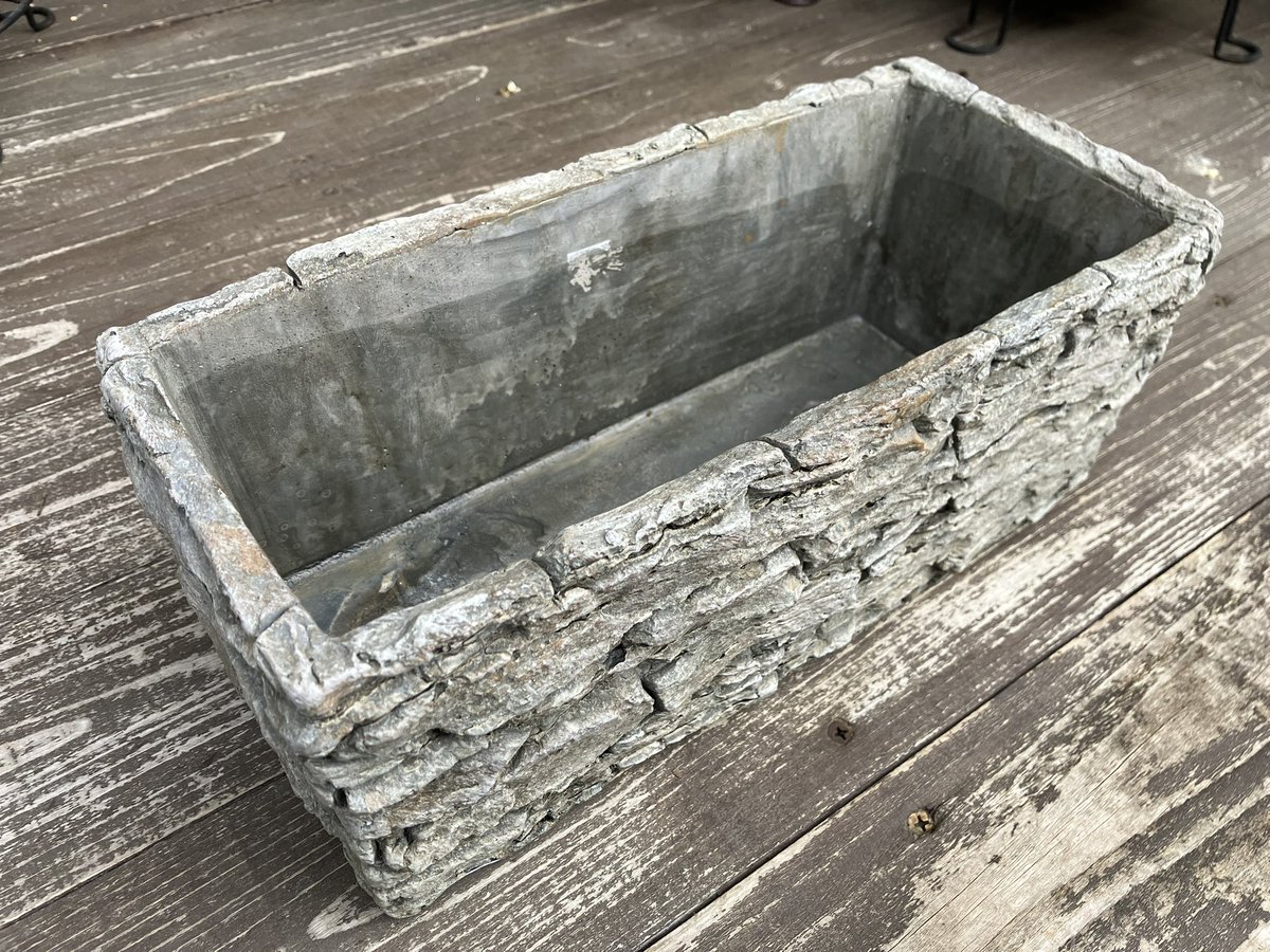 Sun- Flower❖Sol Flor tweet media