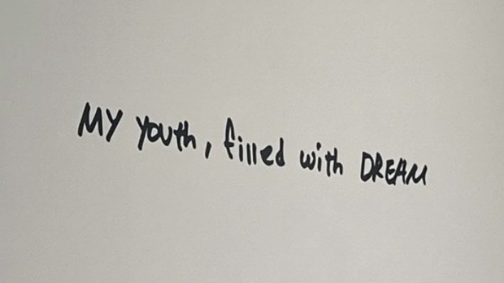 I love how "My YOUTH, filled with DREAM" resonated so much with dreamzens. It's become a line that everybody thinks of when they see the dreamies and feel all these emotions.

Thank you Jaemin &amp; NARCISSISM for this iconic phrase. 🤍