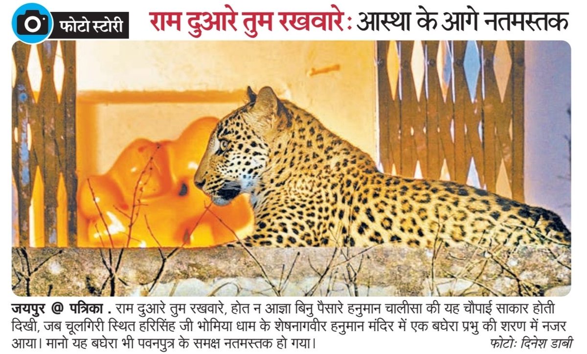 Ajay Chopra tweet media