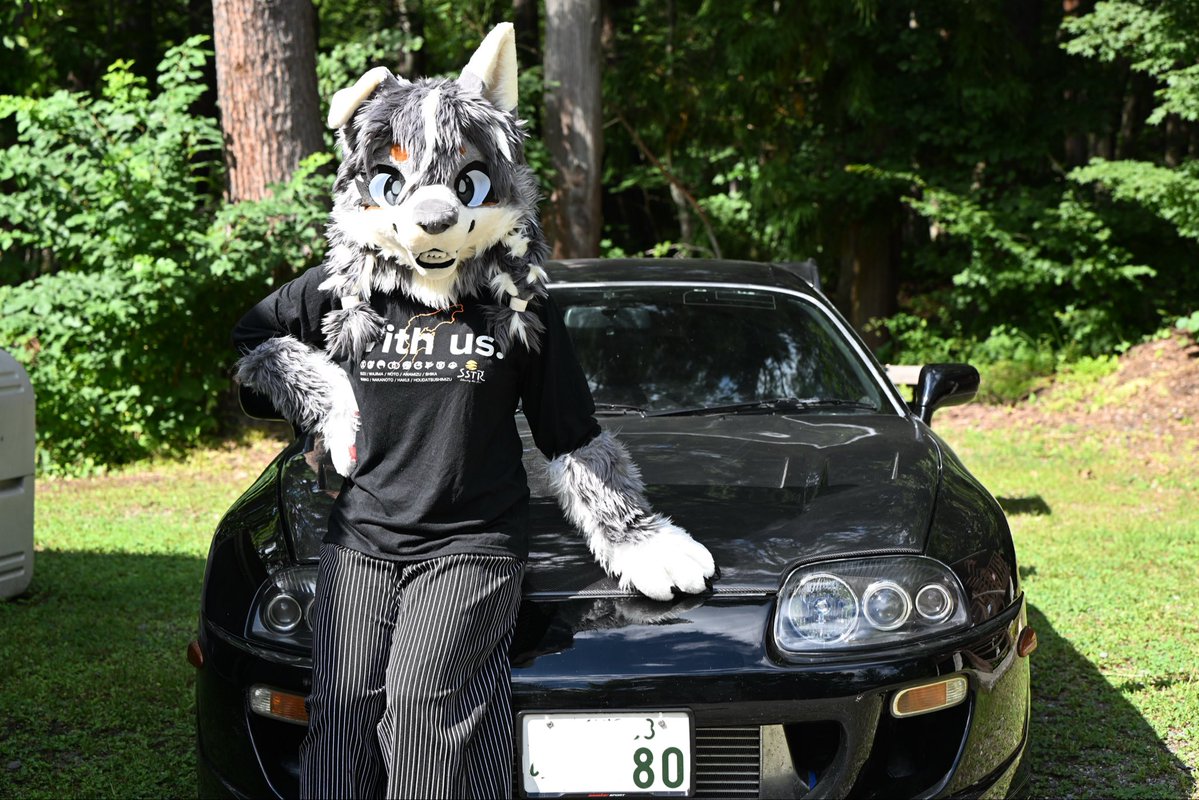 Agent.Rona🐺 tweet media