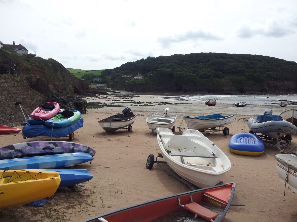 manonabeach tweet media