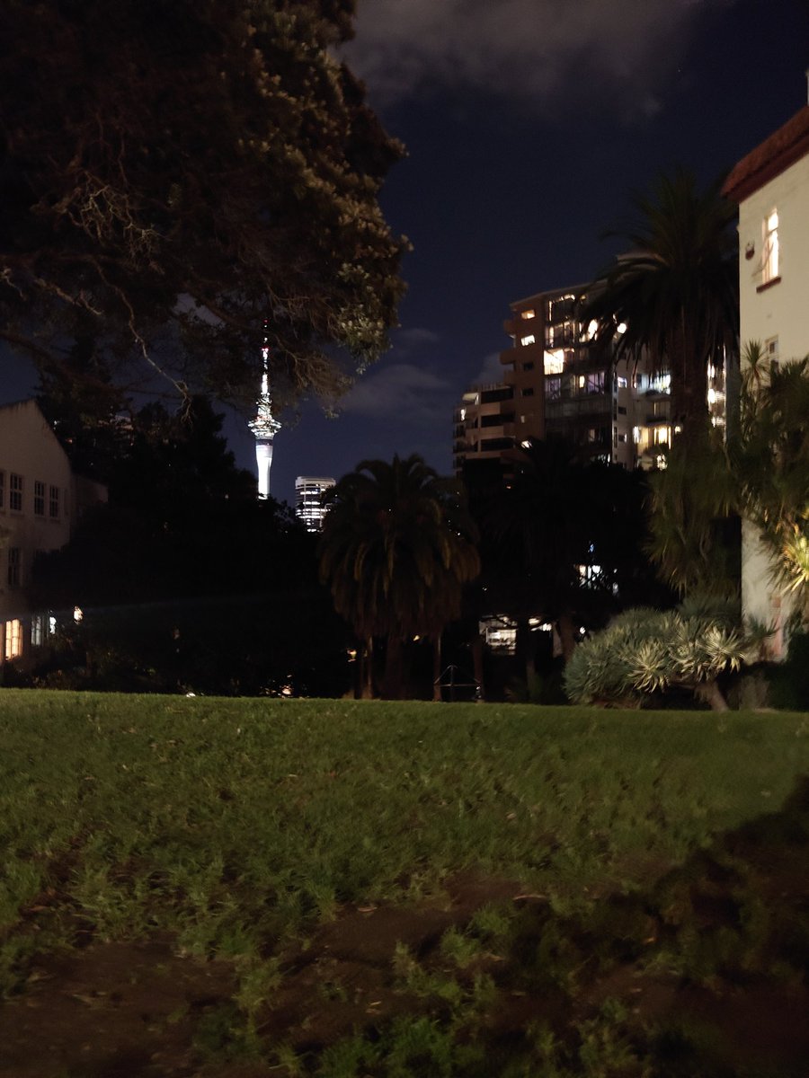 n-desmethyl marlene tweet media