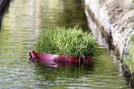 Living in Tehran (LiT) tweet media