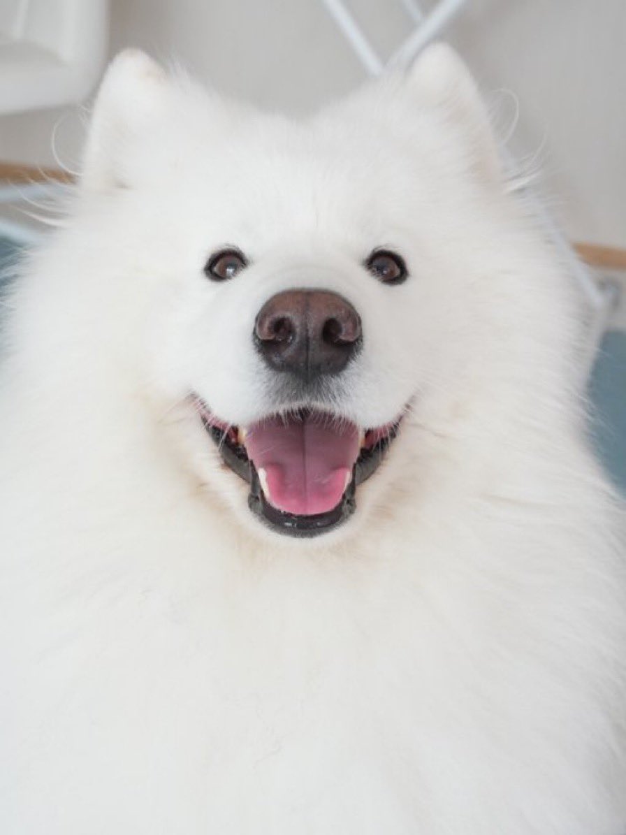 椎井蹴人 tweet media