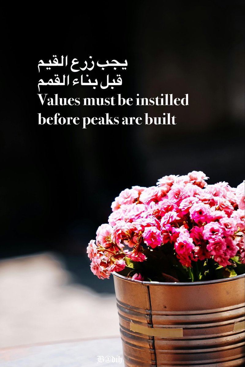 يجب زرع القيم 
قبل بناء القمم 
Values ​​must be instilled 
before peaks are built