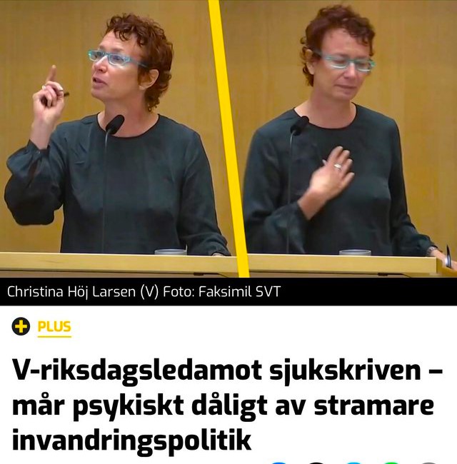 Tina Svensson 🇸🇪 ✨MEGA💫 tweet media