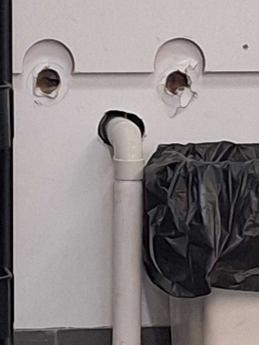 MystiriEX tweet media