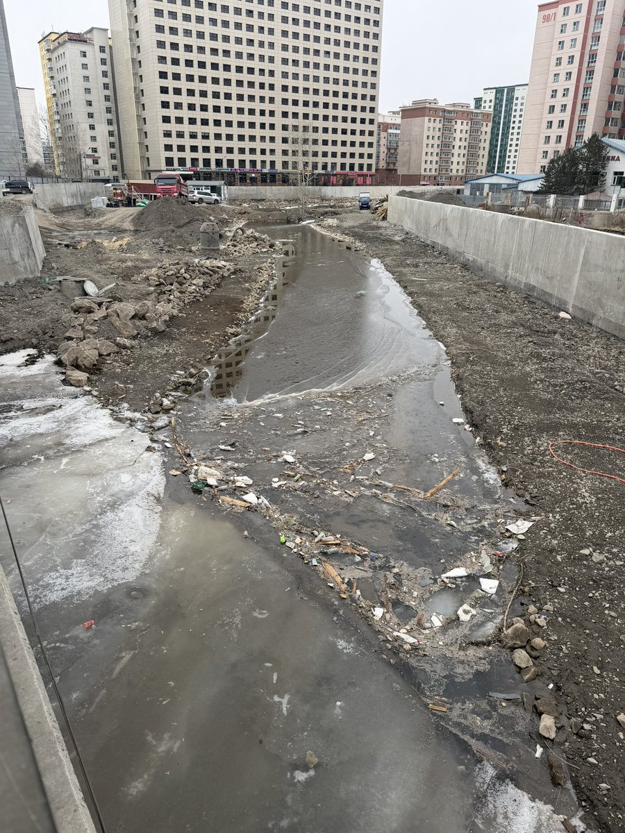 Сайран Хөлт tweet media